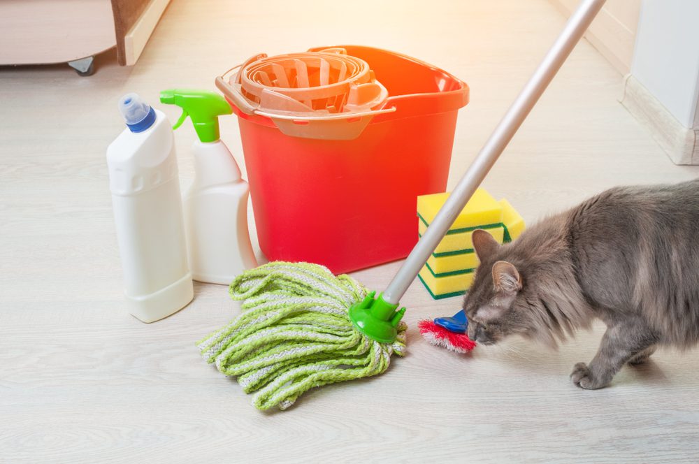 How to Clean When You Have Pets