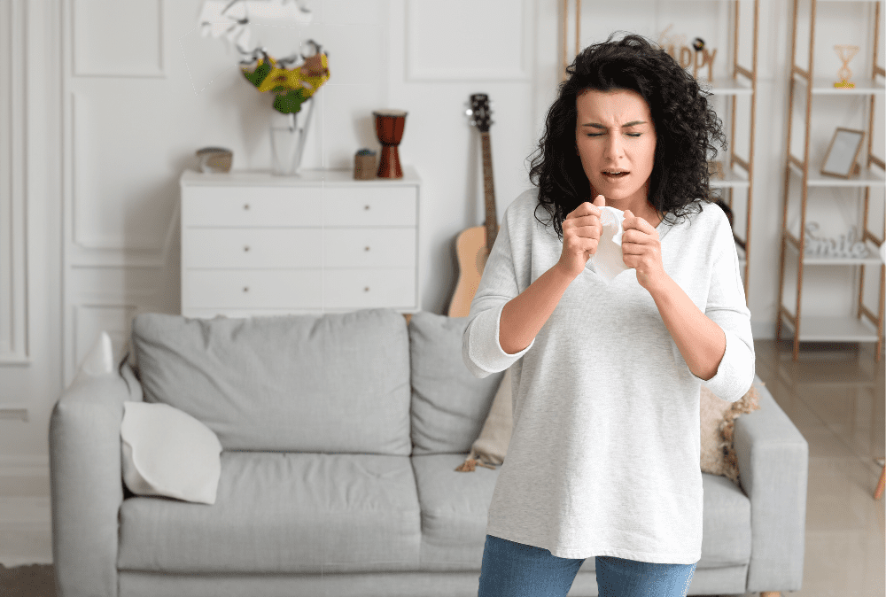 Your Guide to an Allergen-Free Home in St. Louis During Winter