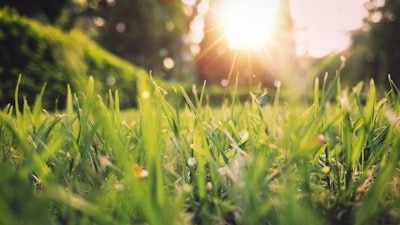 Essential Spring Cleaning Checklist: Must-Have Items