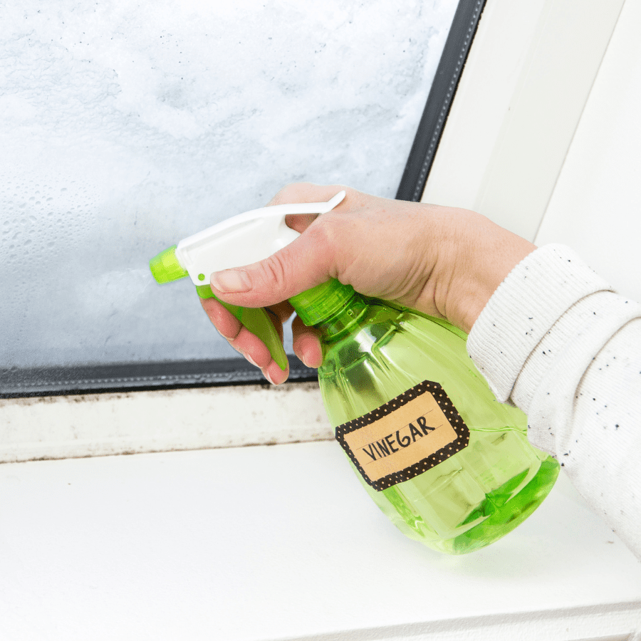 Why Vinegar Works Against Germs and Grime