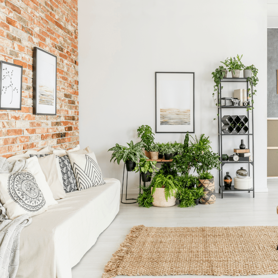 Master Your Home: Developing Daily Cleaning Habits