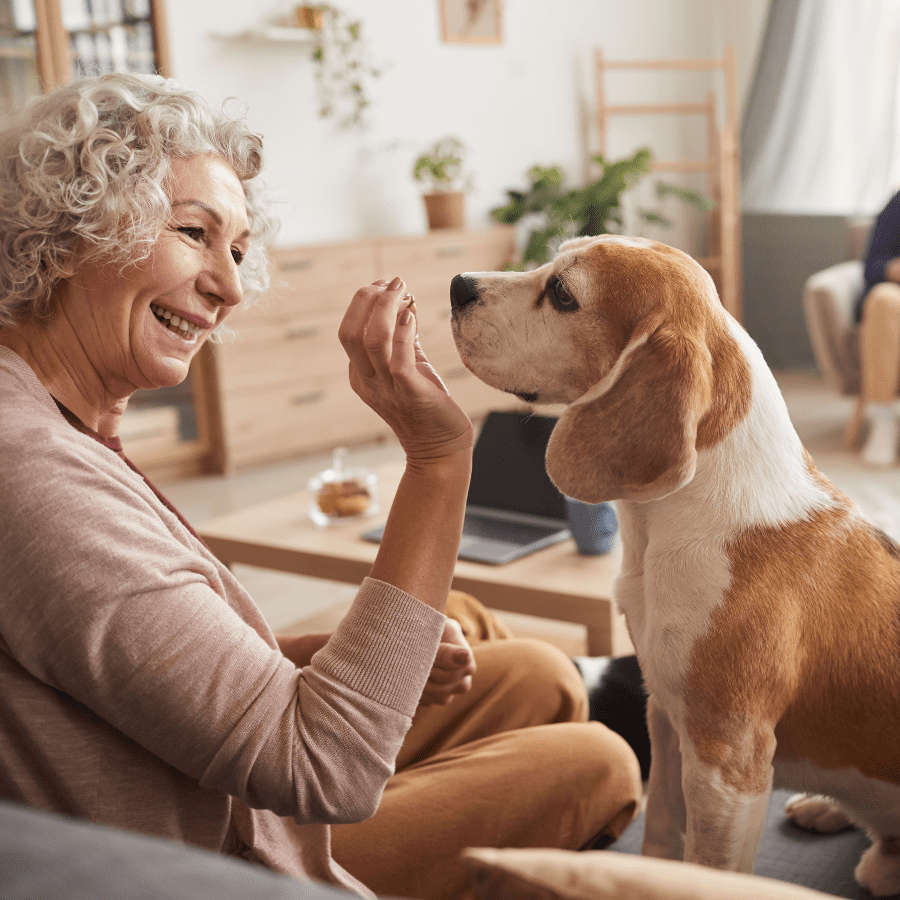 Simplifying Life: Essential Maid Service for Seniors