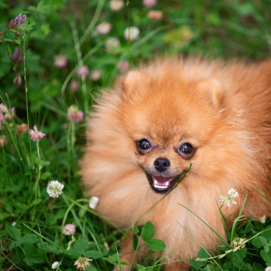Increasing Property Value with Sustainable Landscaping