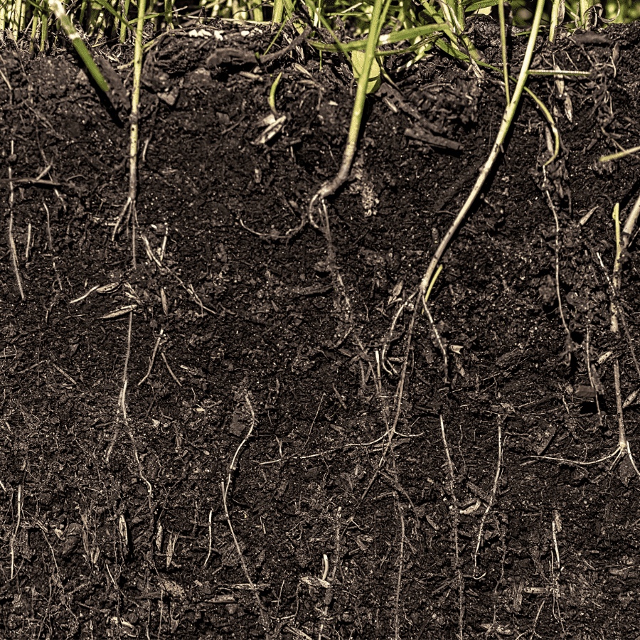 Natural Fertilization and Soil Health
