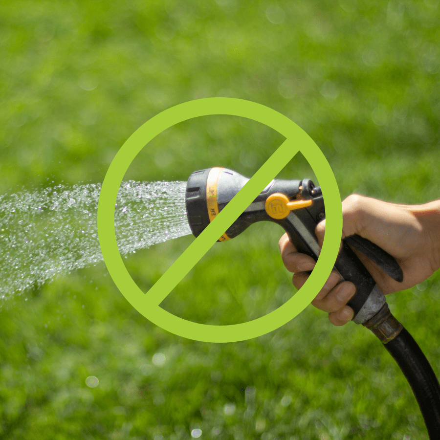 Water Consumption and Pollution Concerns