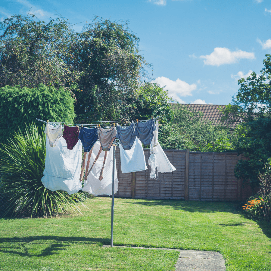 3. Leveraging Sunlight for Natural Odor Removal