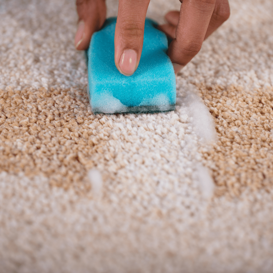 Step 2: Choosing Your Cleaning Solution