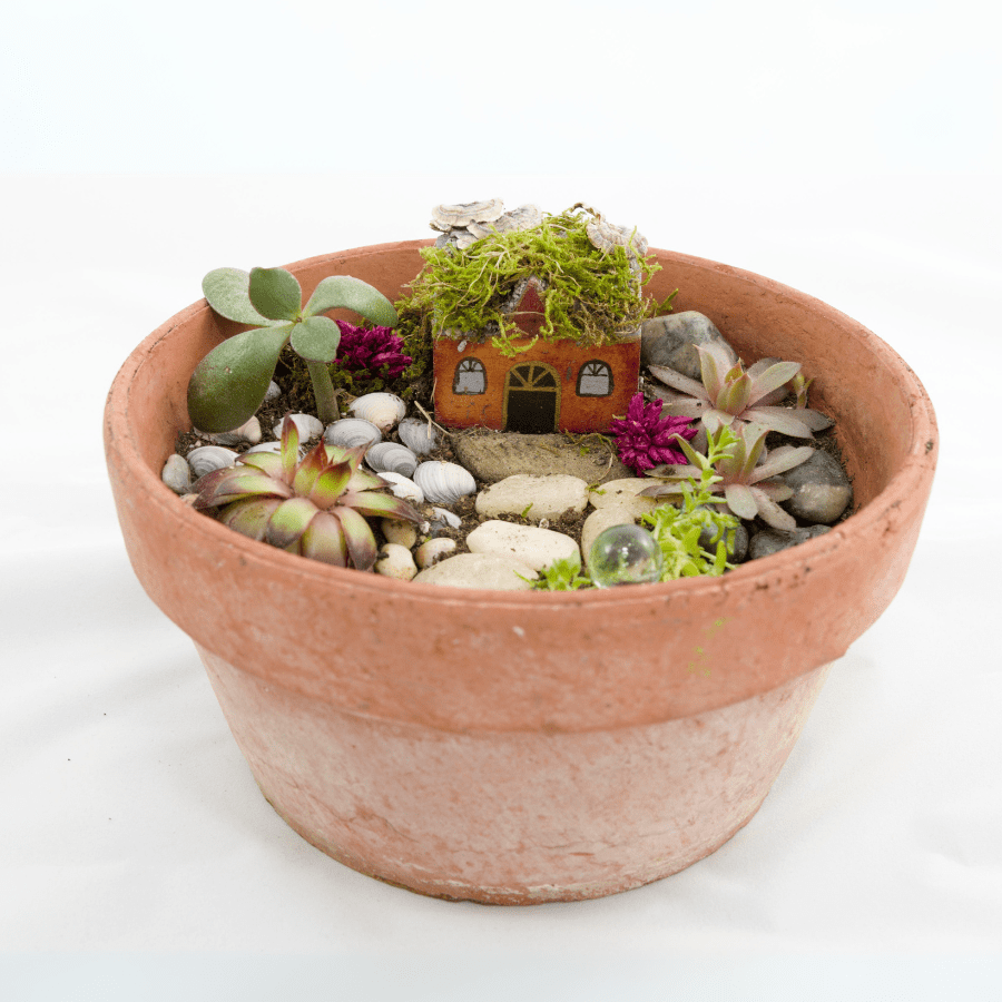 11. Fairy Garden Terrariums