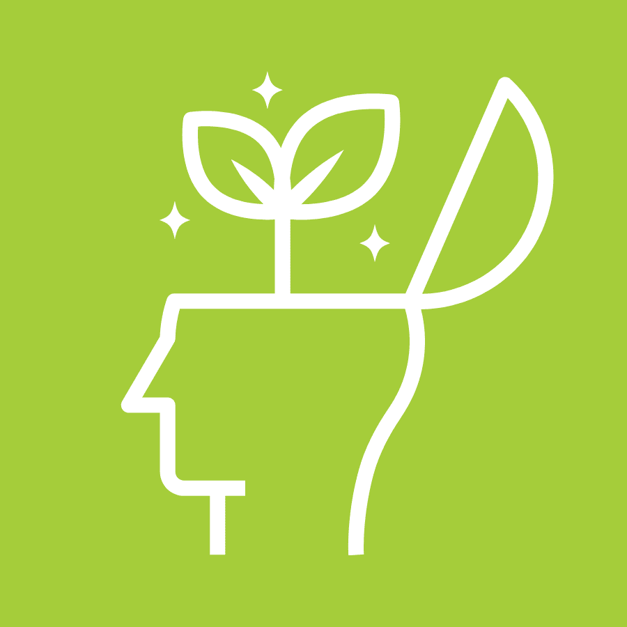 Cultivate Delight with Daily Mindset Practices