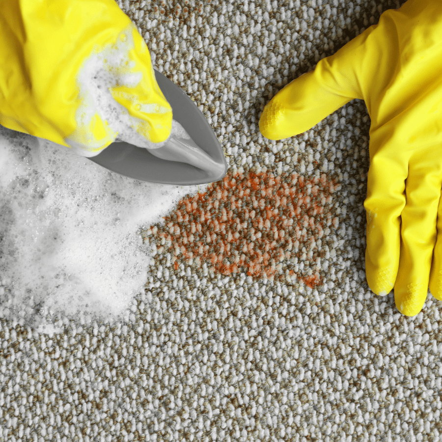 3. The Art of Spot Cleaning: Immediate Actions
