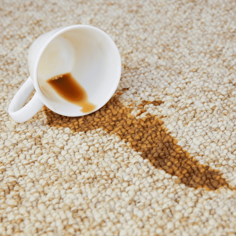 Essential Tools and Ingredients for Coffee Stain Removal