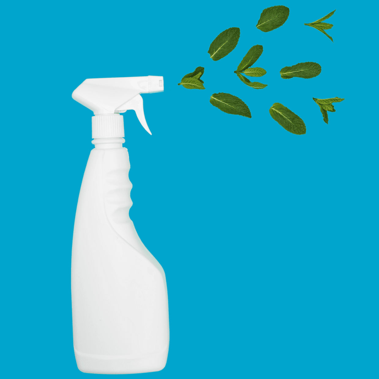 SPRING CLEANING OUTSIDE OF THE BOX