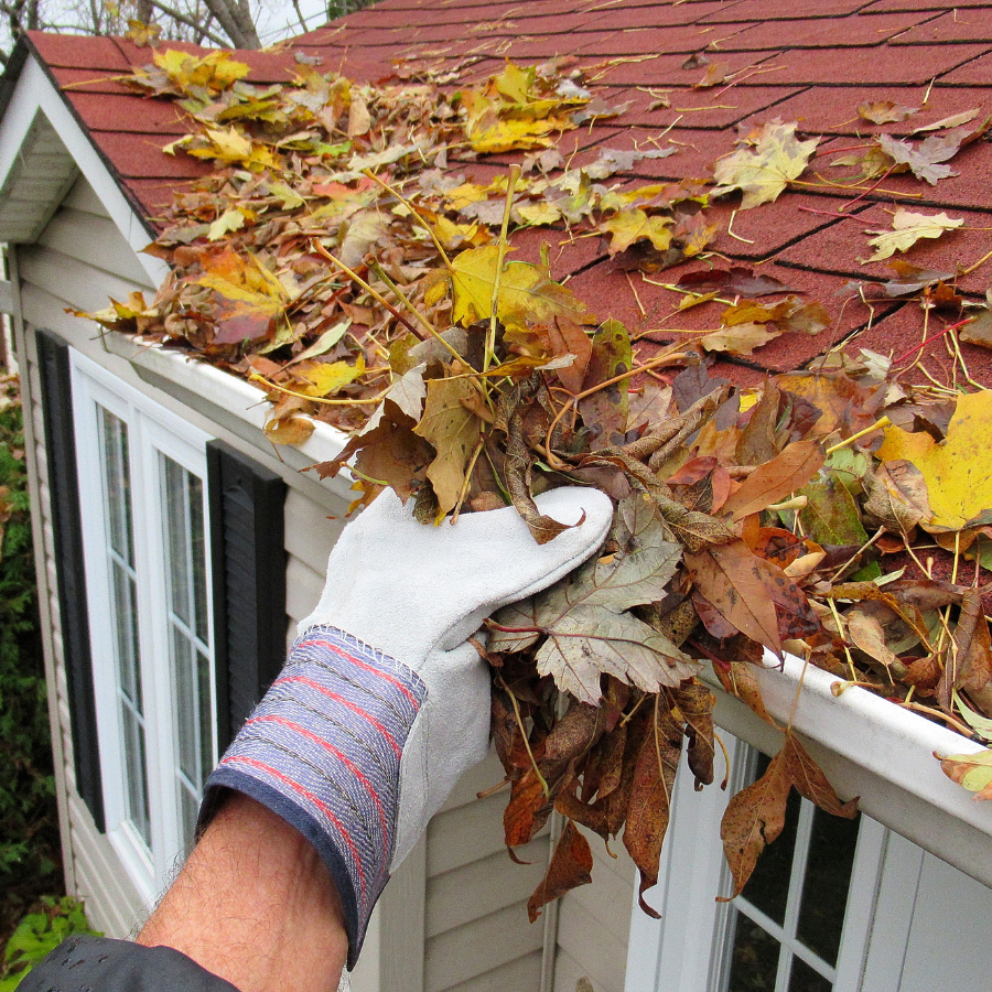 Fall Maintenance Tasks