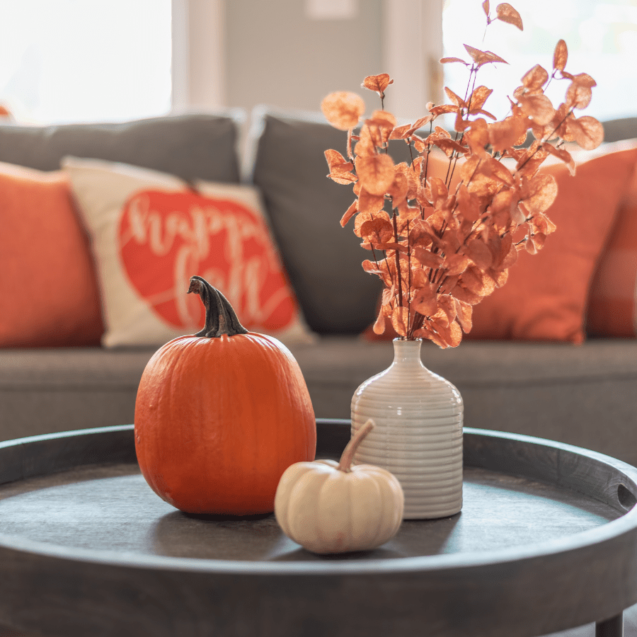 Quick Fall Cleaning Tips for Busy Home Owners 