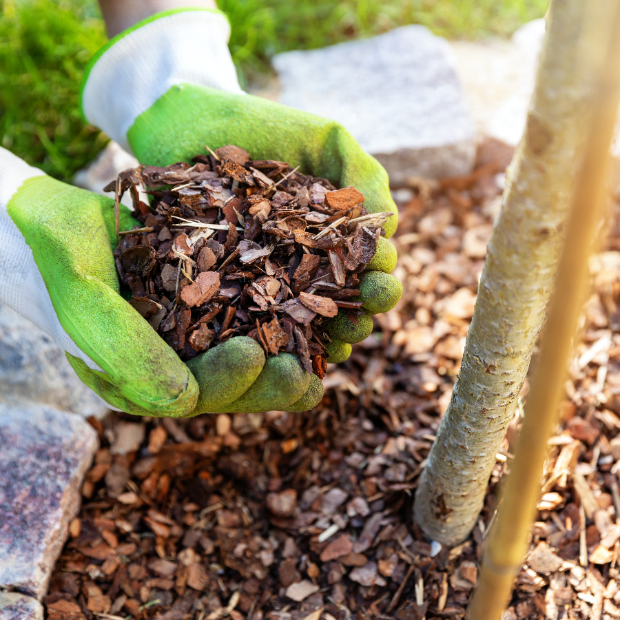The Benefits of Leaving Leaves on Your Lawn