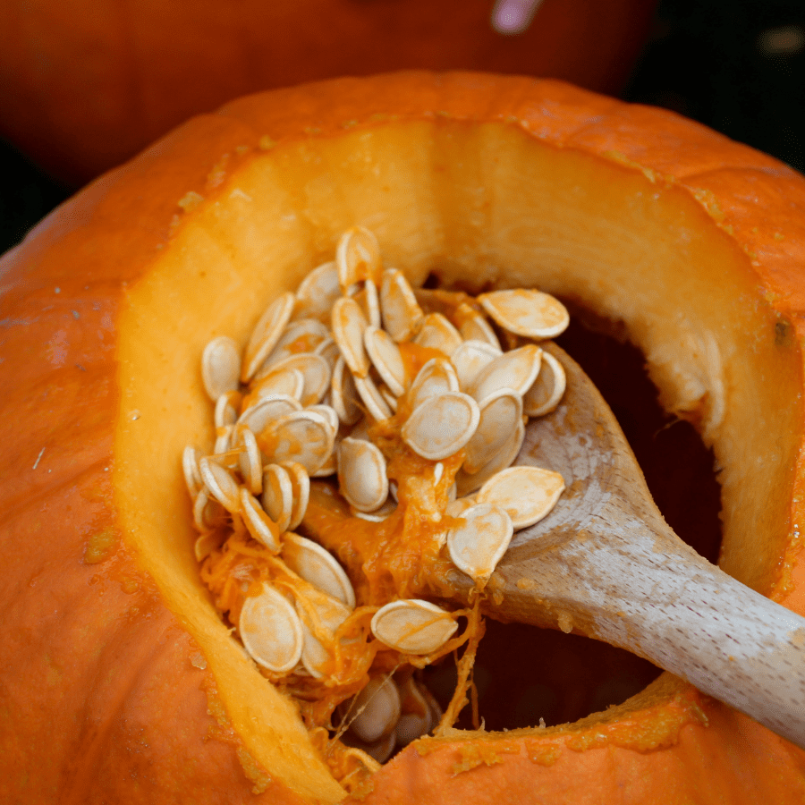 The Beginner's Guide to Pumpkin Carving: Step-by-Step Process