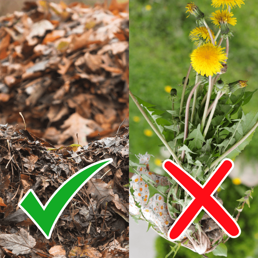 Creating Leaf Mulch for Garden Beds