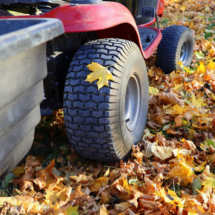 Lawn Care Tips for the Fall Season in St. Louis, MO