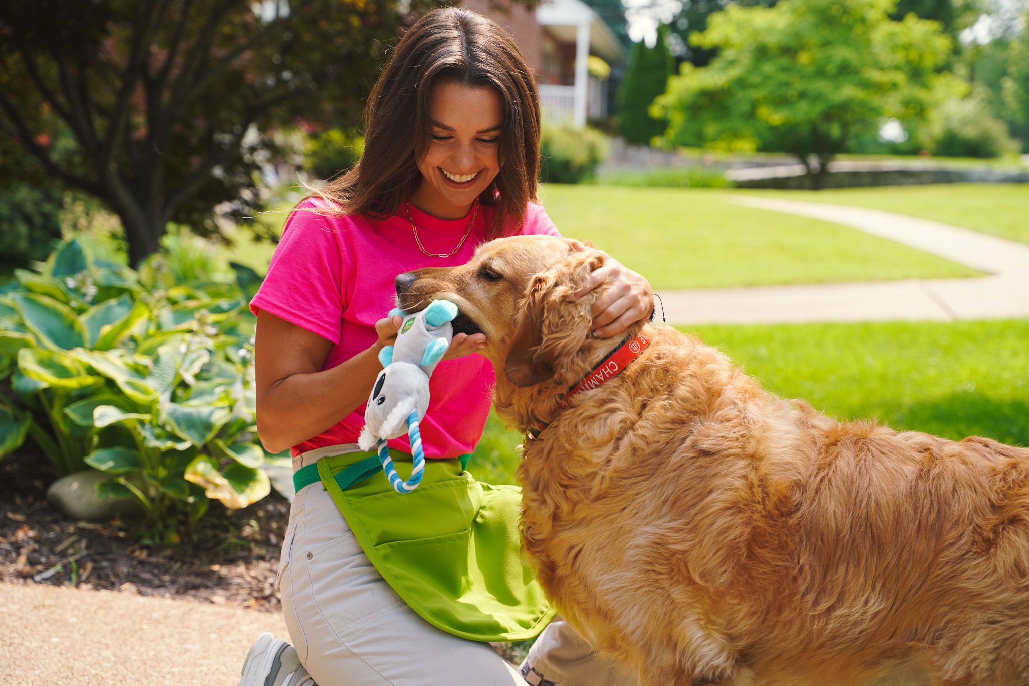 Maplewood Families: How to Maintain a Clean Home with Pets
