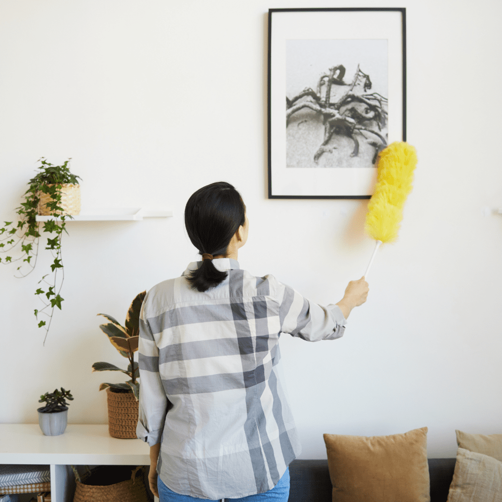 Deep Cleaning to combat allergies