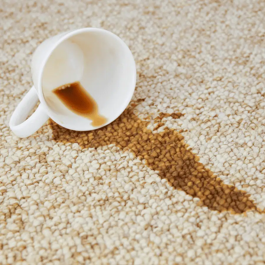 Essential Tools and Ingredients for Coffee Stain Removal