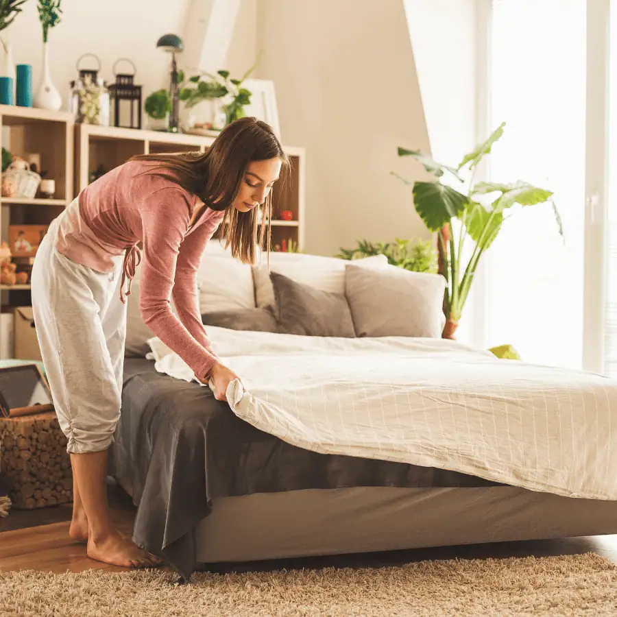 Essential Daily Cleaning Habits
