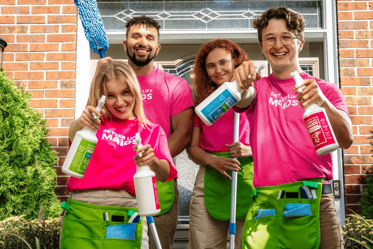 Choosing a Professional Cleaner