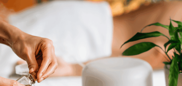 The Beginner's Guide to Pumpkin Carving: Step-by-Step Process