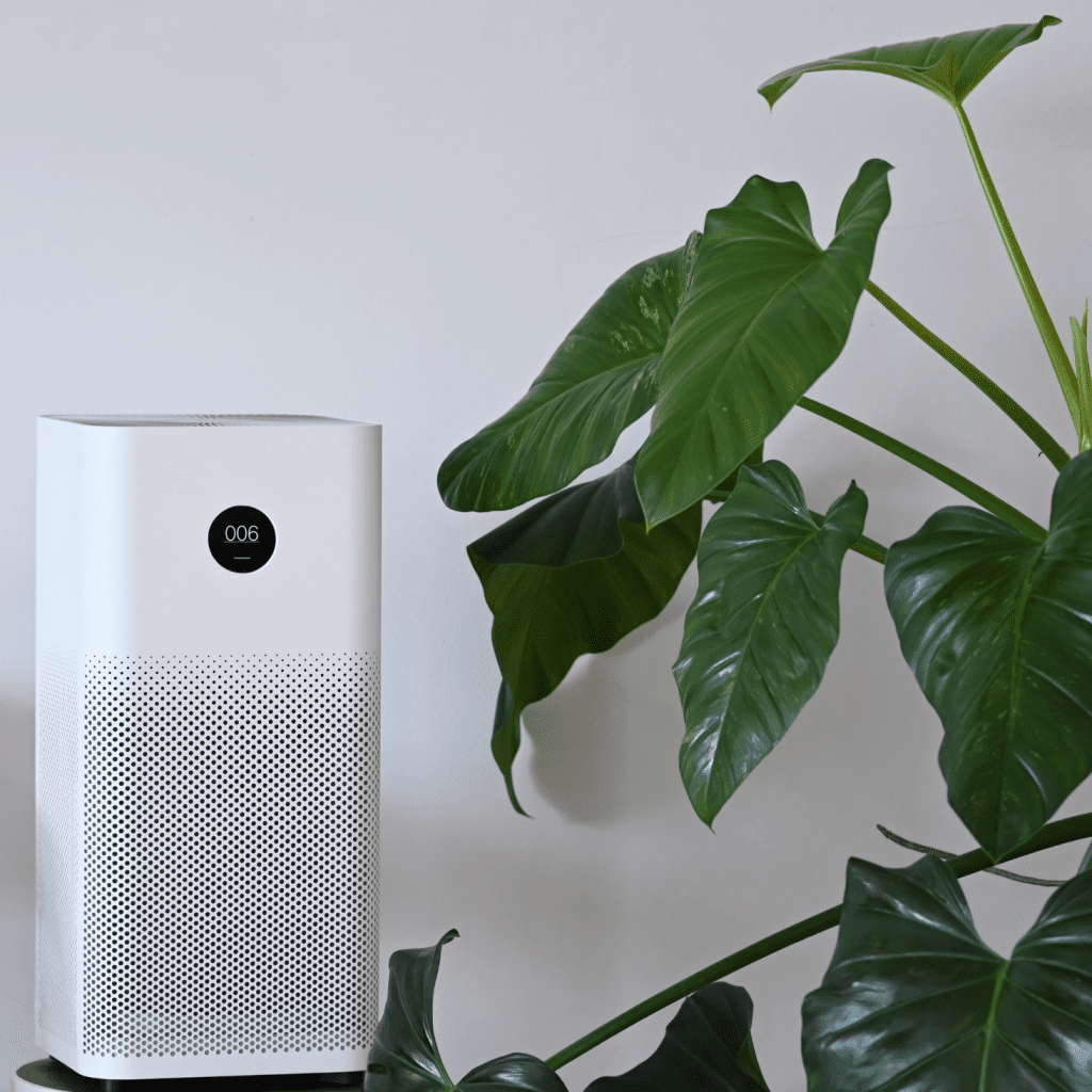 Natural Disinfectants for Everyday Use