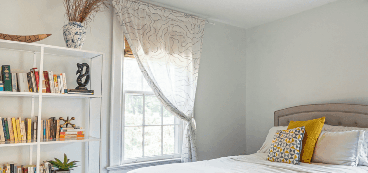 Say Goodbye to Costly Carpet Cleaners!