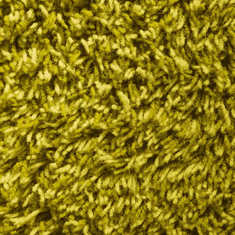 Ensuring Your Carpet's Longevity