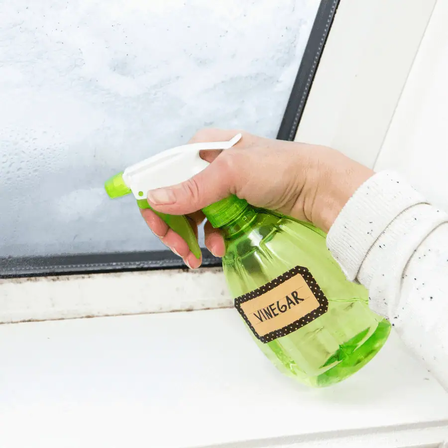 Why Vinegar Works Against Germs and Grime
