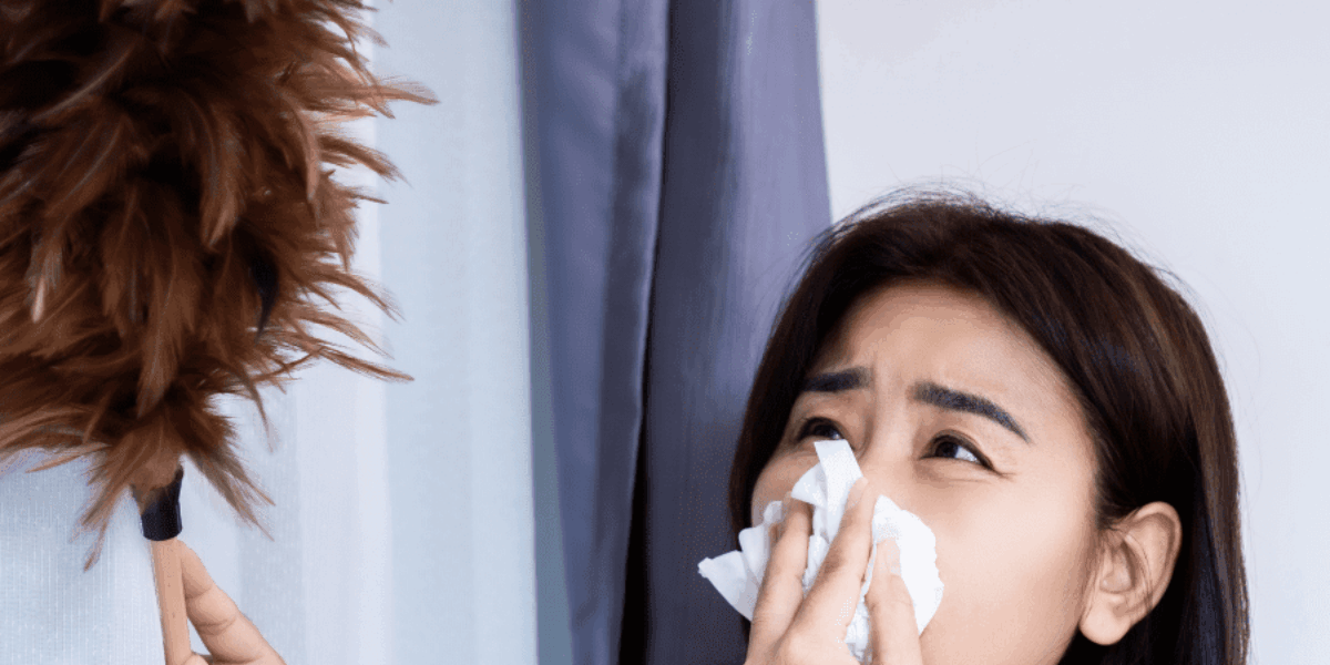 Easy Allergy House Cleaning Tips for Success