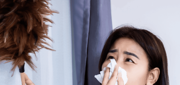 Easy Allergy House Cleaning Tips for Success