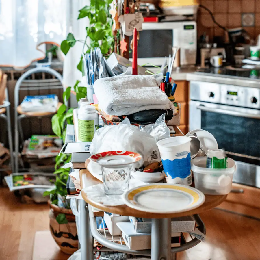 Physical and Emotional Benefits of Cleanliness
