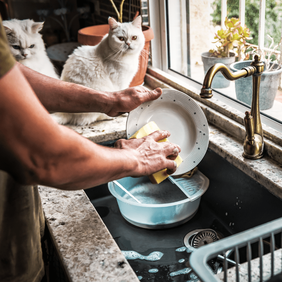 2. Dishwashing Services