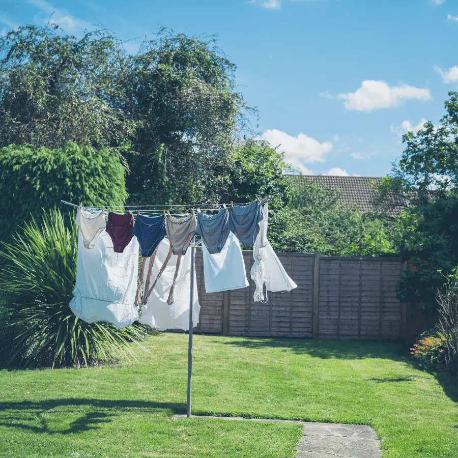 3. Leveraging Sunlight for Natural Odor Removal