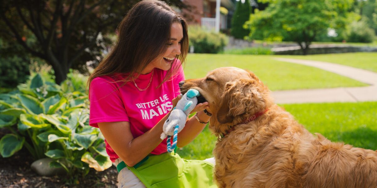 Should I Hire a Cleaning Company or an Individual Cleaner?