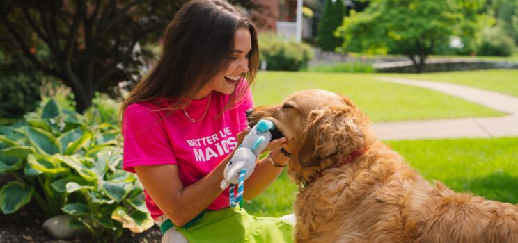 Should I Hire a Cleaning Company or an Individual Cleaner?