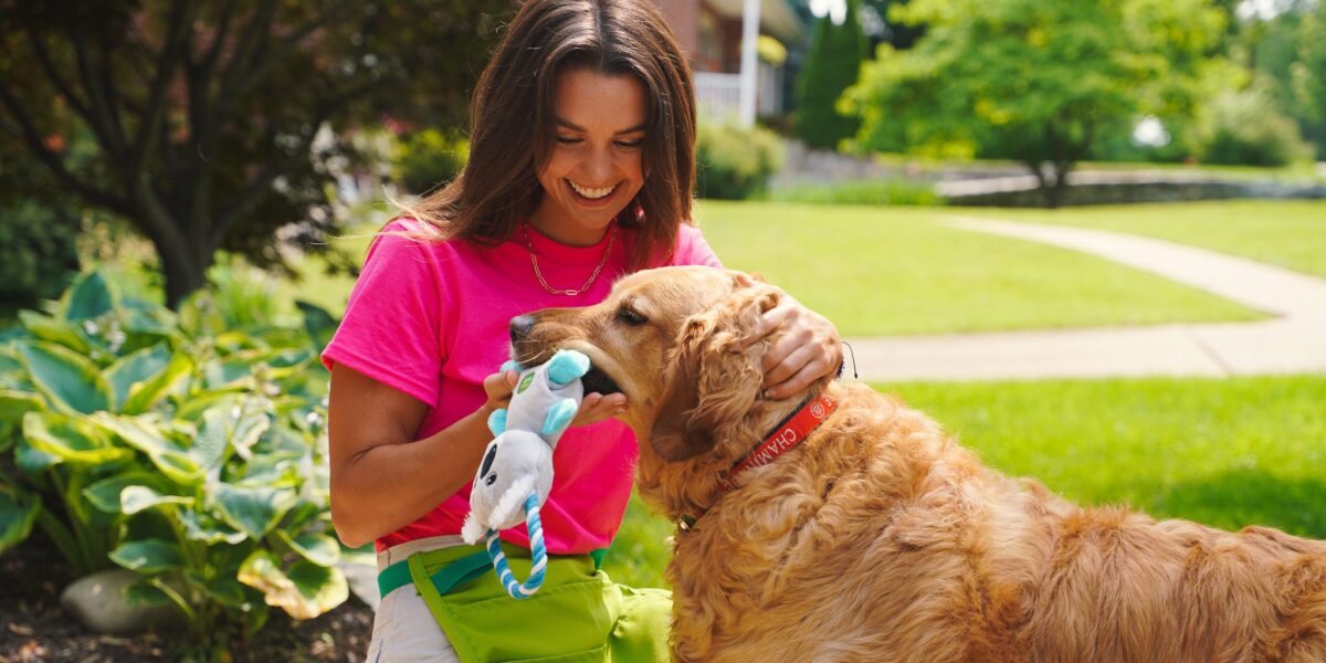 Maplewood Families: How to Maintain a Clean Home with Pets