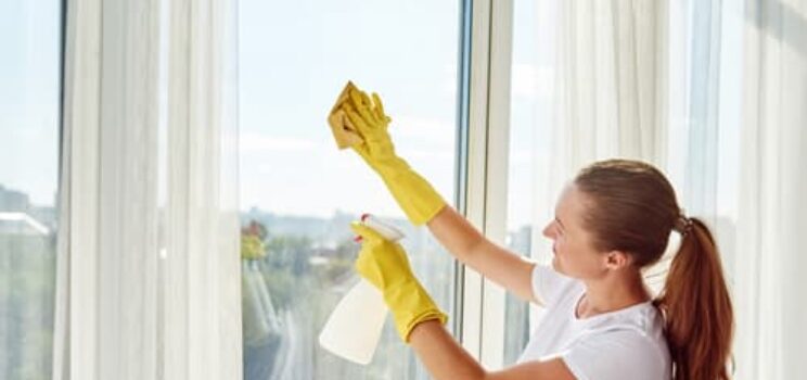 The Ultimate Guide to Window Cleaning