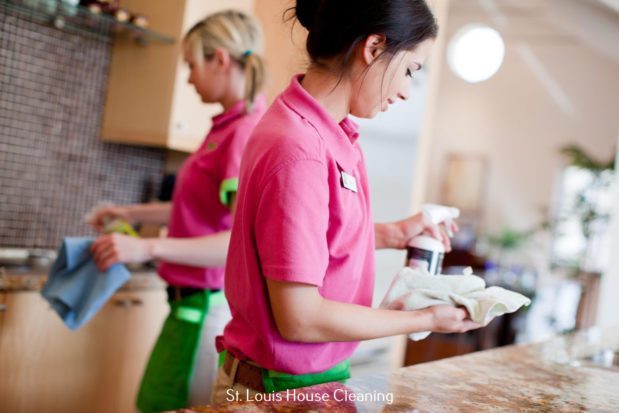 Saint Louis Zoo: A Wild Journey of Discovery in St. Louis, MO