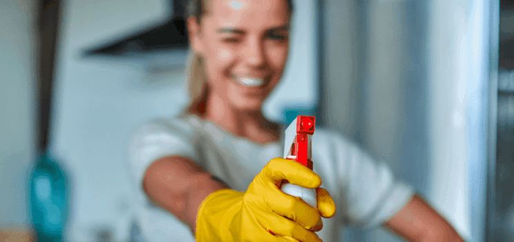 Small Appliance Cleaning Made Simple