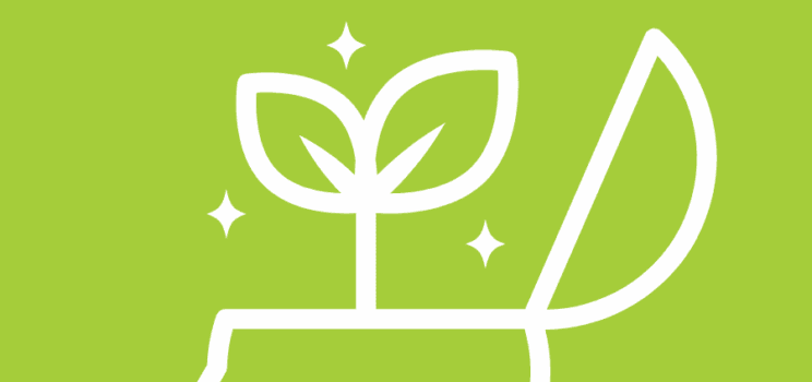 Cultivate Delight with Daily Mindset Practices