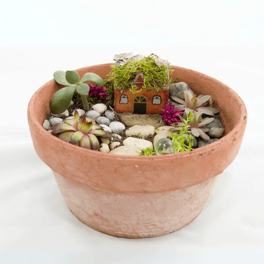 11. Fairy Garden Terrariums