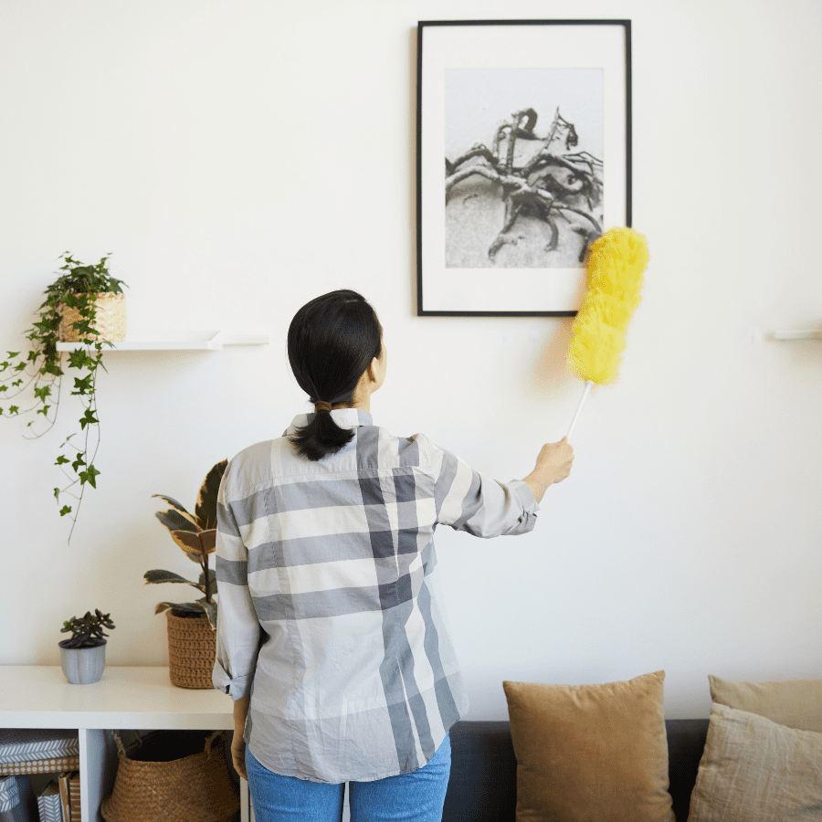 Stage 2: Dusting Phase