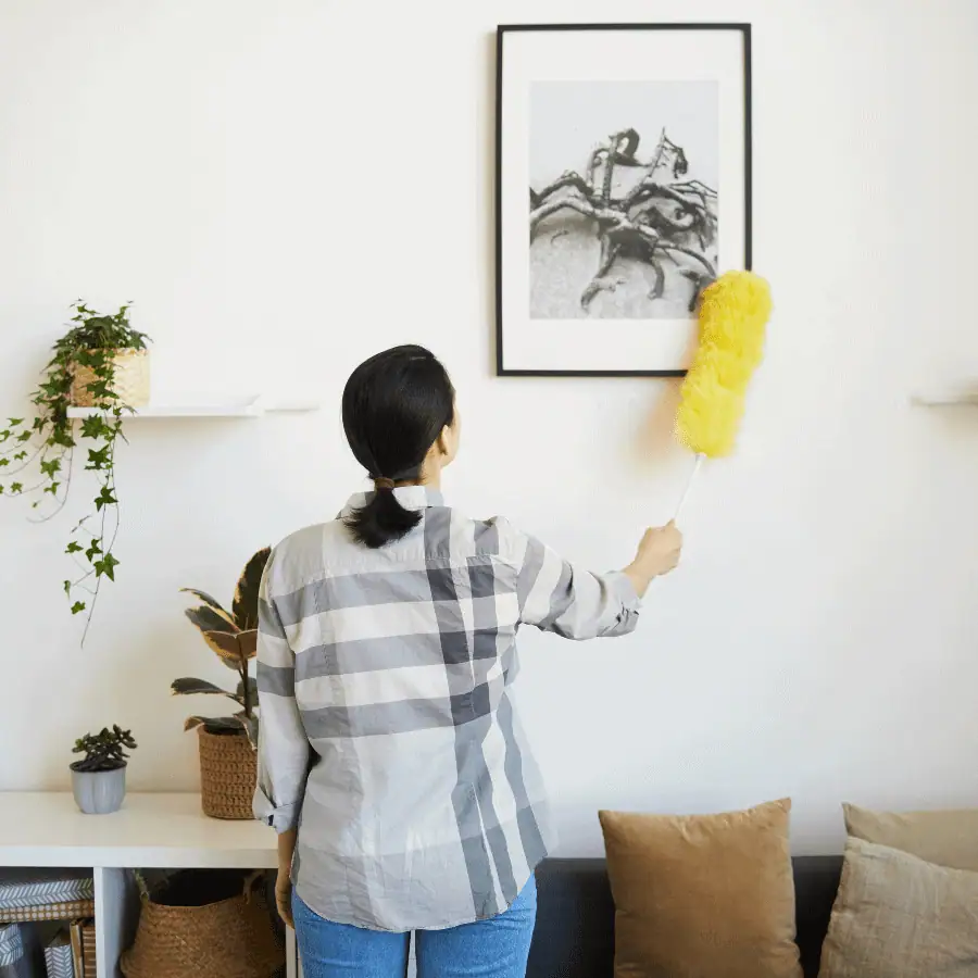 Stage 2: Dusting Phase