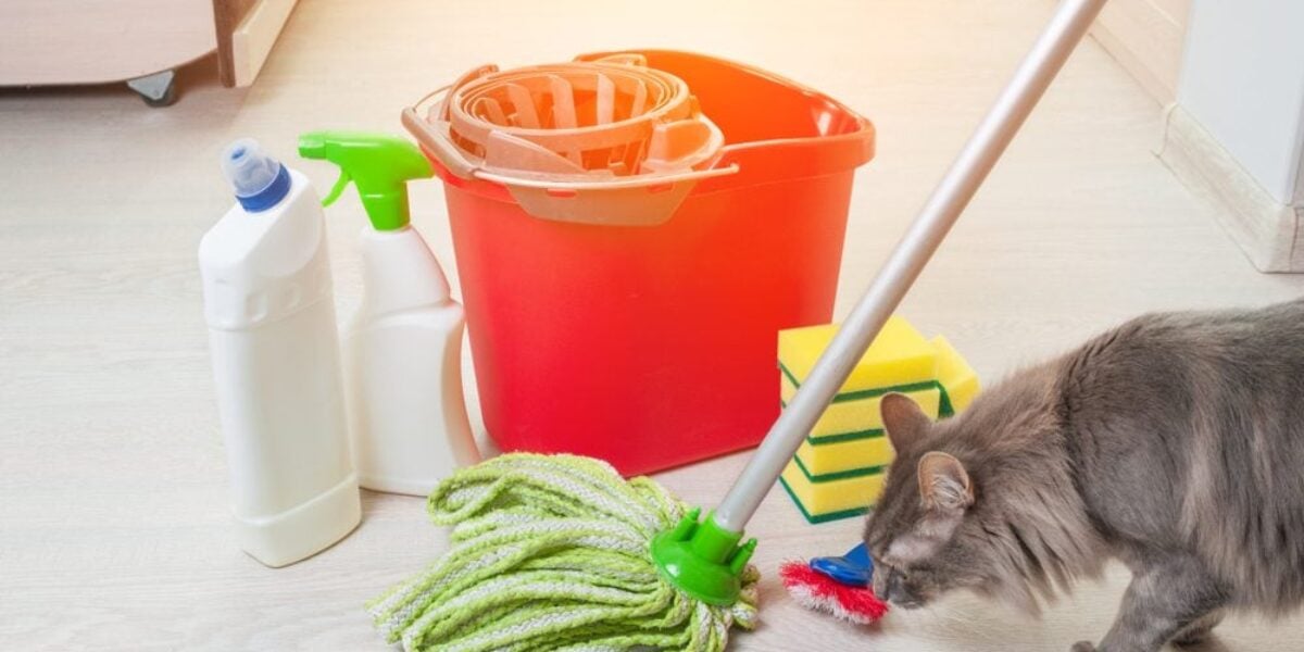 How to Clean When You Have Pets