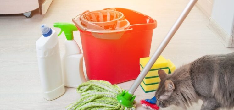 How to Clean When You Have Pets