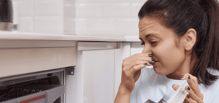 Smelly Dishwasher Solutions: Say Goodbye to Unpleasant Odors